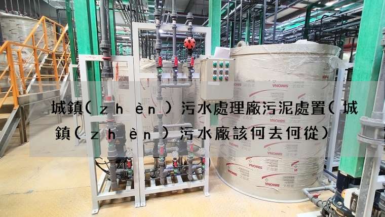 城鎮(zhèn)污水處理廠污泥處置(城鎮(zhèn)污水廠該何去何從)